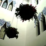 Hotel Diana 4*
